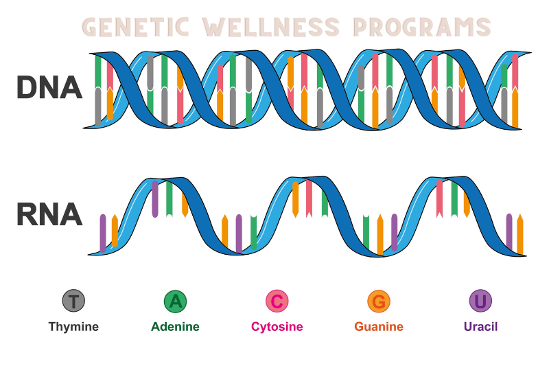 Genetic Wellness Programs